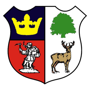 Cinderford Town’s club badge