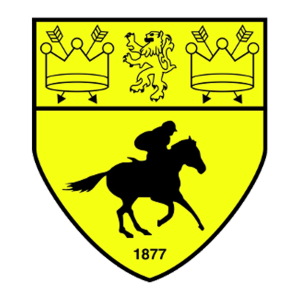 Newmarket Town’s club badge
