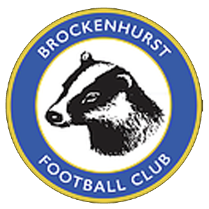 Brockenhurst’s club badge