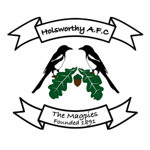 Holsworthy’s club badge