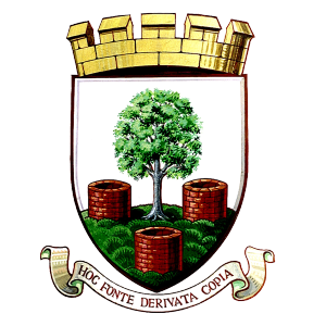 Wells City’s club badge