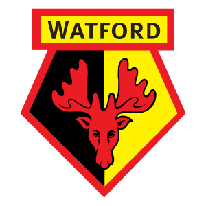 Watford&rsquo;s club badge